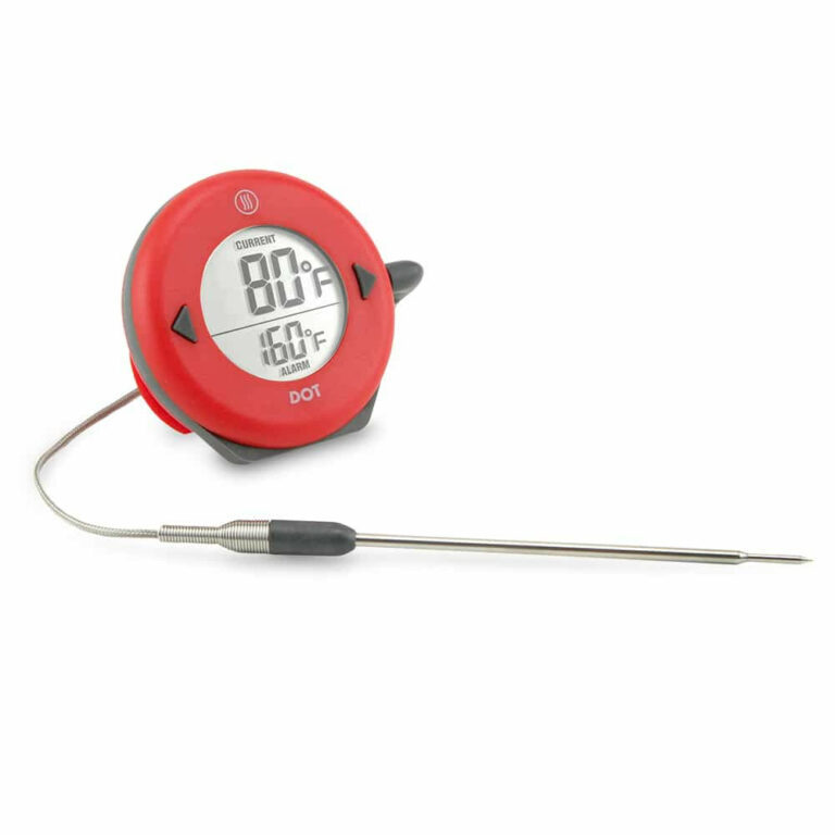 The Best Probe Thermometer: Thermoworks Dot Review 2019