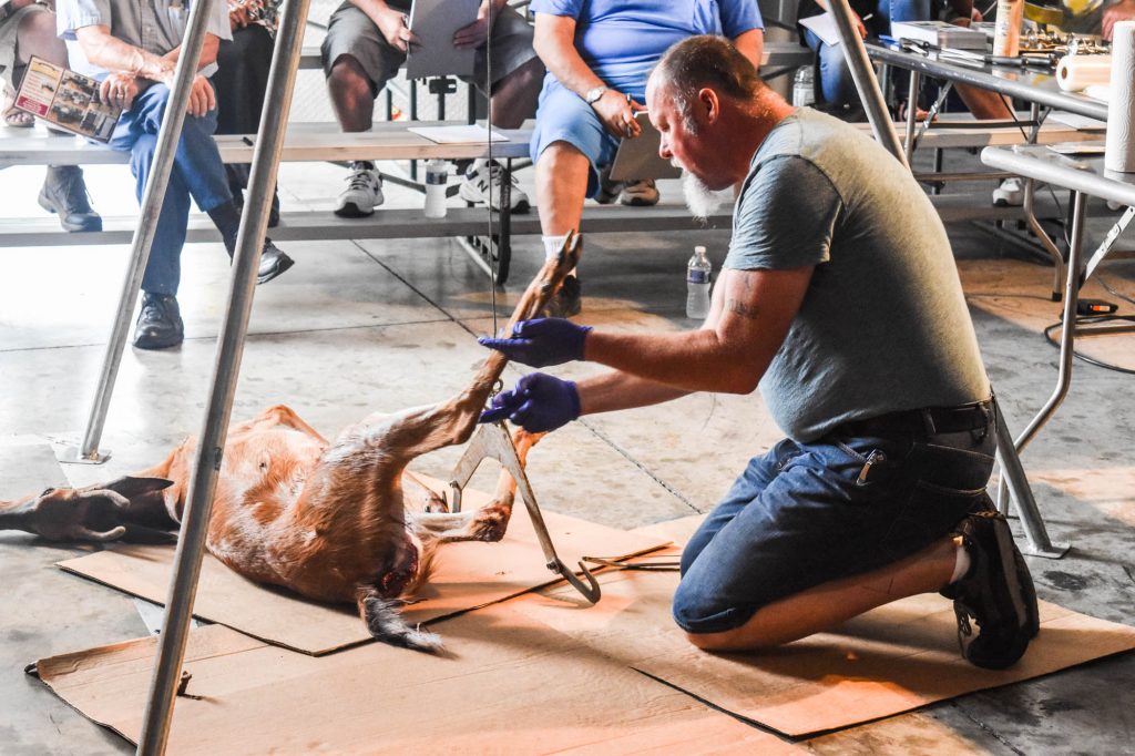 Learn how to butcher a deer and process your own venison. Learn how to butcher a deer and process your own venison.