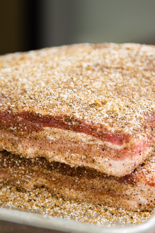 Cure-Rubbed Pork Belly How to Cure and Smoke Bacon with Thermoworks DOT Thermometer